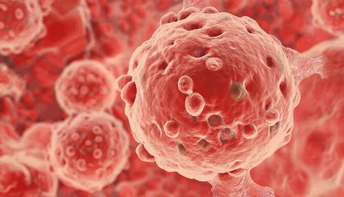 Laser to "Retrain" Cancer: ITMO Scientists Find a Way to Reprogram Immunity Inside Tumors