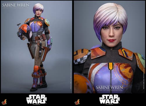 Images are property of Lucasfilm and Hot Toys