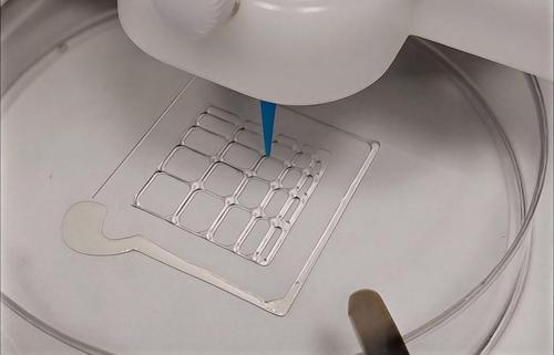 Científicos rusos crean hidrogeles a partir de colágeno de medusas y peces para la bioimpresión 3D de tejidos