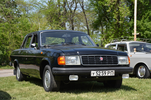 GAZ-31029