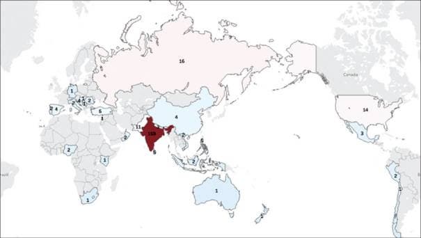 Смертность во время селфи