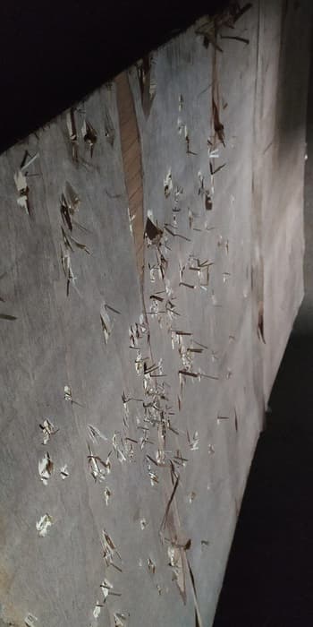 В России разработали летающую ПВО с безоткатным дробовиком для борьбы с БПЛА