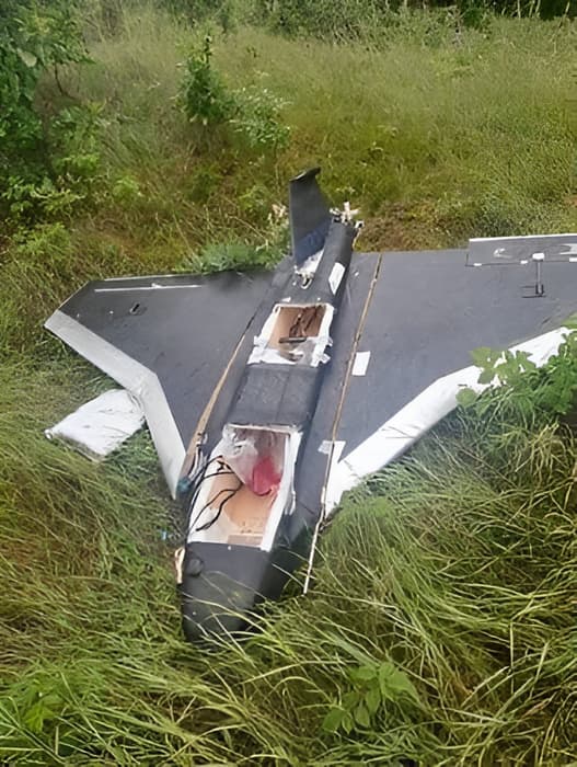 БПЛА&nbsp;«Гербера»