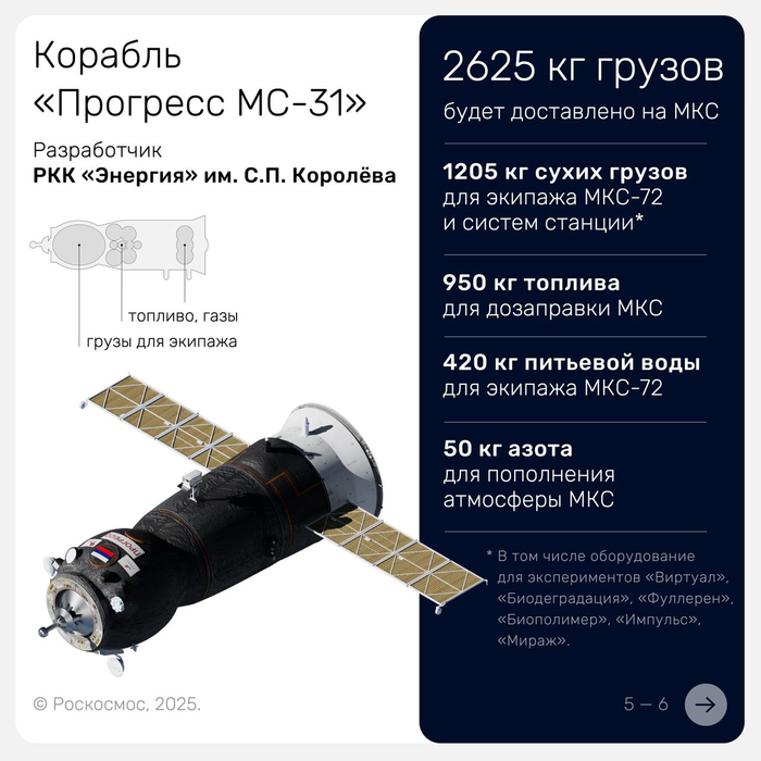 Payload of the Progress MS-31 ship