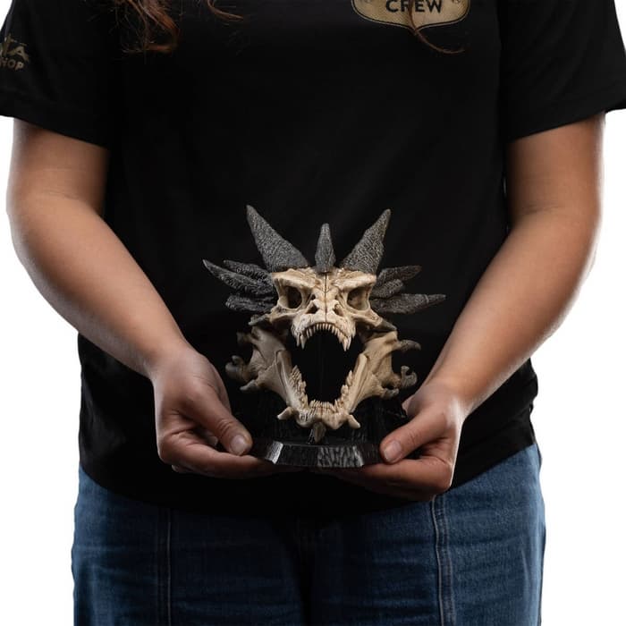 Права на изображения принадлежат Middle-earth Enterprises, New Line и Weta Workshop