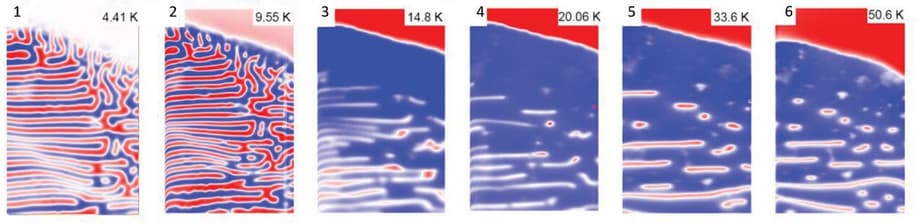 Domain structure of BFPO at different temperatures and a magnetic field of 0.5 Tesla <br>