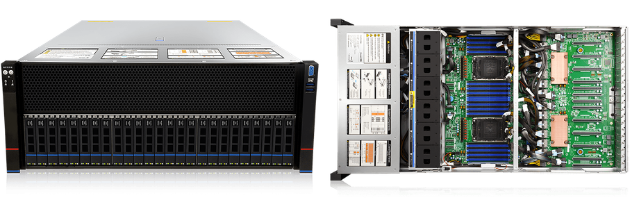 Изображение предоставлено пресс-службой Nerpa