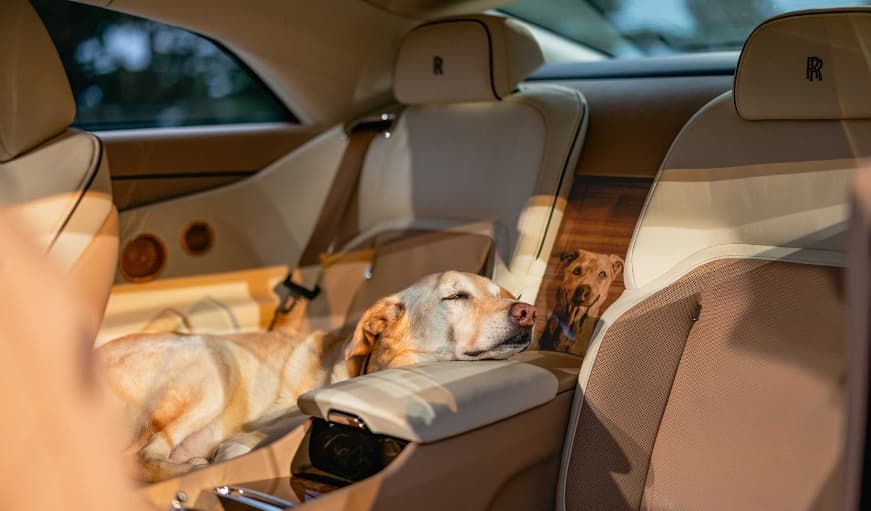 Rolls-Royce Spectre