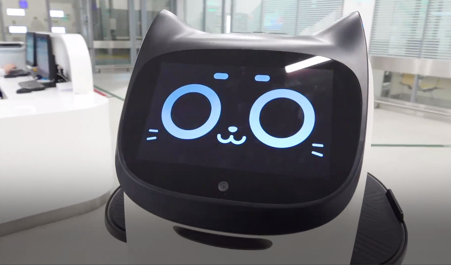 Robo-Cat