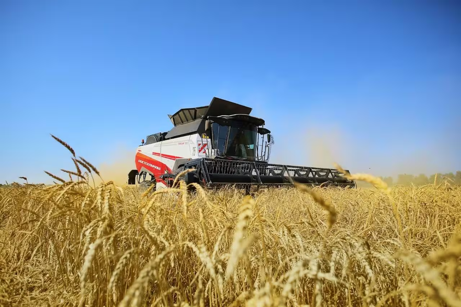 Grain harvester TORUM 785