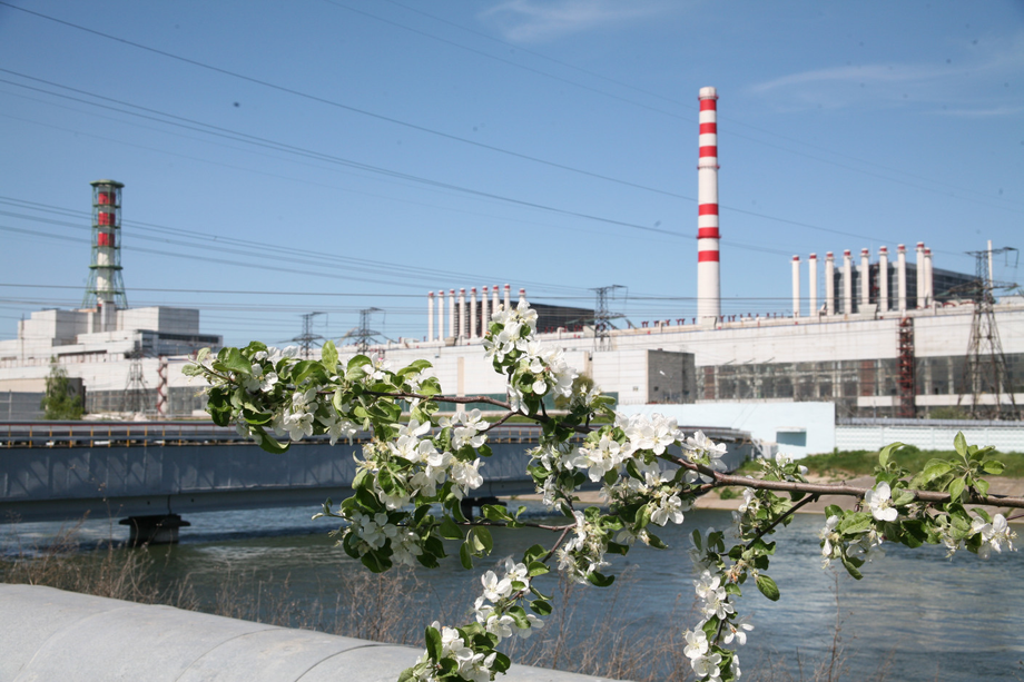 Kursk NPP