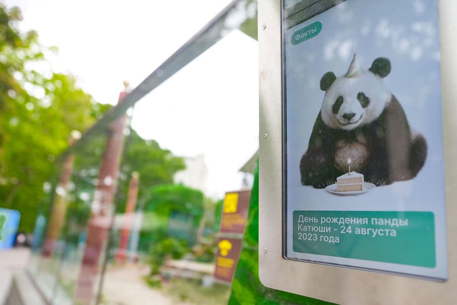 Information about panda Katyusha on digital displays at the Moscow Zoo