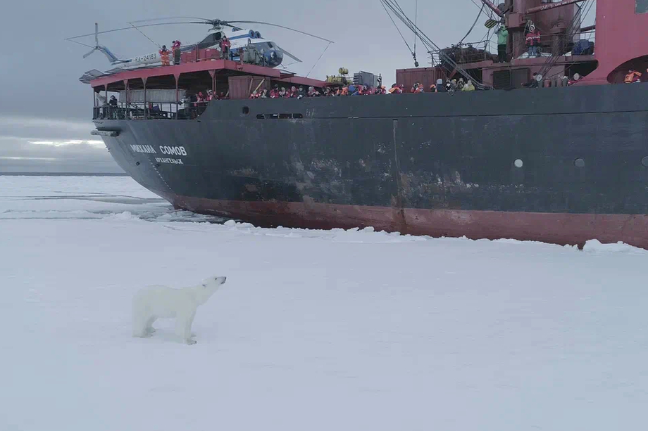 кадр из фильма