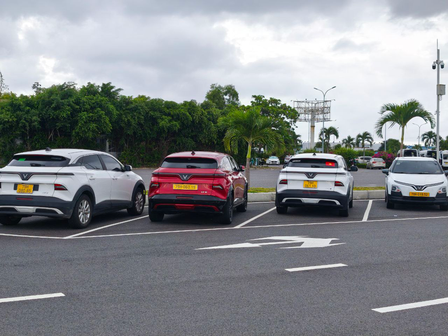 VinFast VF 6 and VinFast VF 8