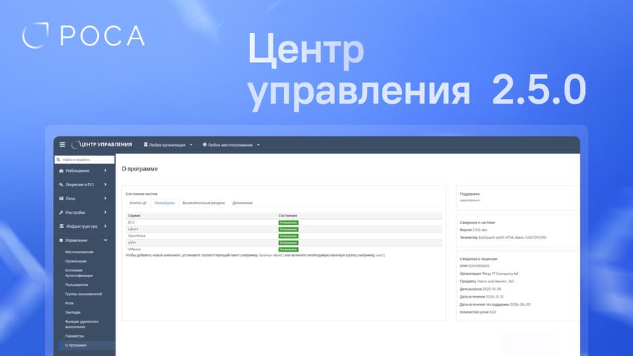 Image provided by the press service of STC IT ROSA