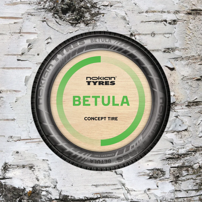 Nokian Betula