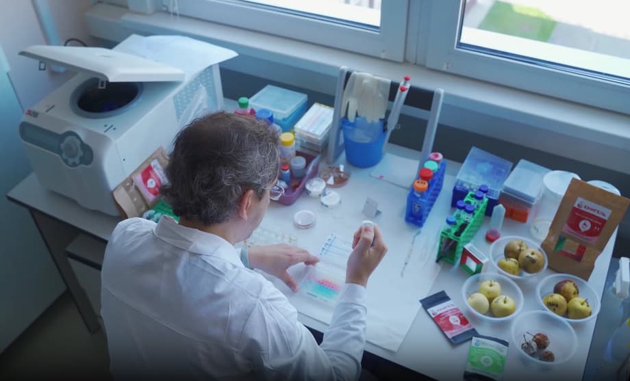 Ученый НГТУ