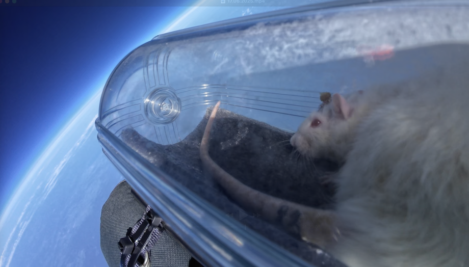 Одна из участниц эксперимента в процессе полёта