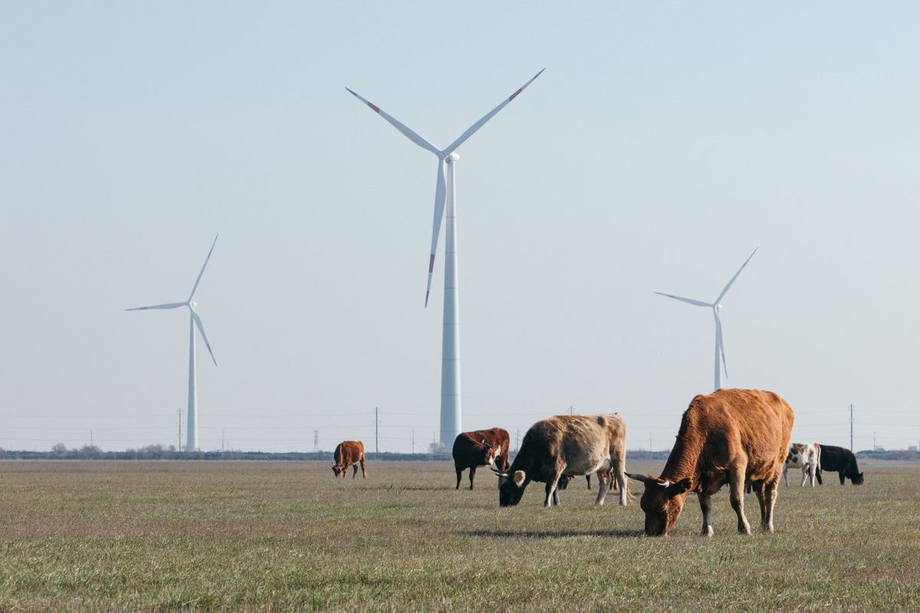 «Новолакская ВЭС “Росатома”»&nbsp;