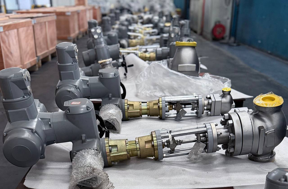 Регулирующие клапаны для АЭС «Аккую» 