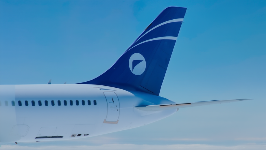 Хвост МС-21-310