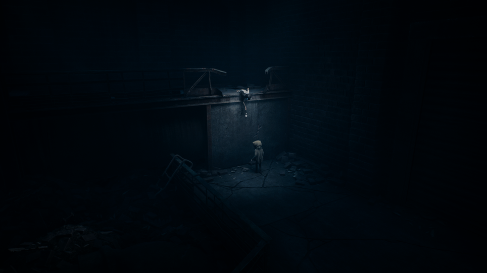 Tarsier Studios / Reanimal