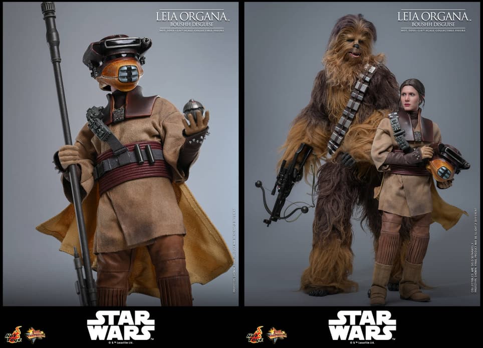  Image rights belong to Lucasfilm and Hot Toys 