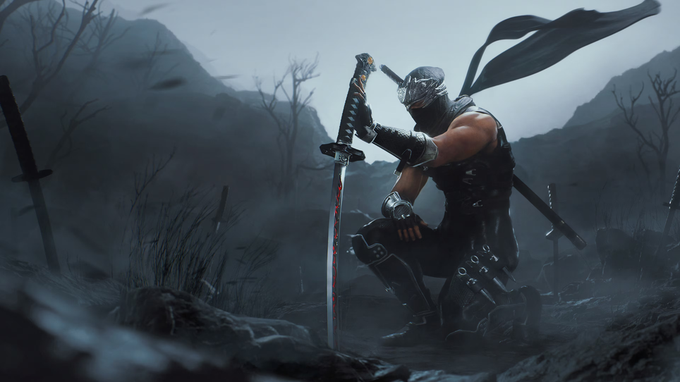 Koei Tecmo /&nbsp;Team Ninja