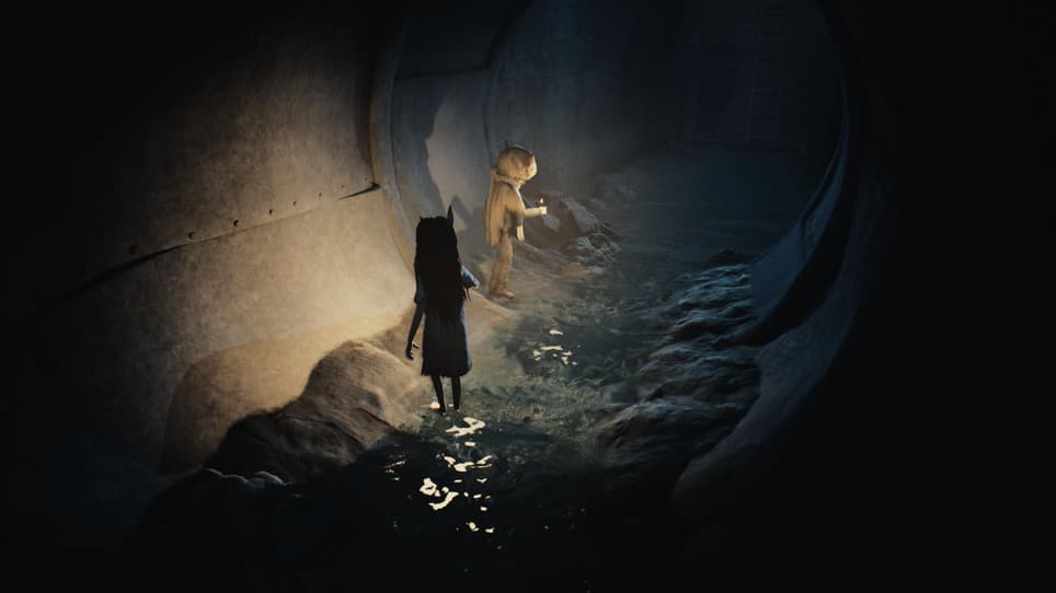 Tarsier Studios / REANIMAL