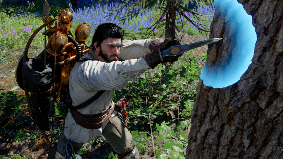 Crimson Desert / Pearl Abyss