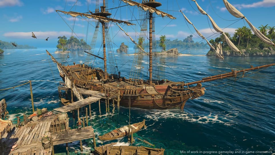 Галка в порту