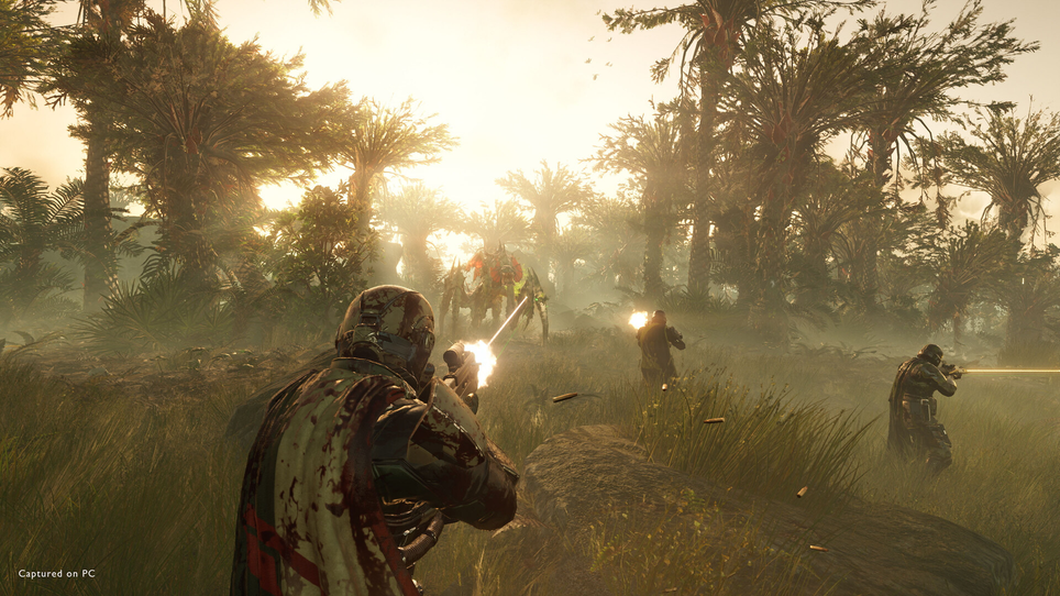 Arrowhead Game Studios, PlayStation Publishing LLC