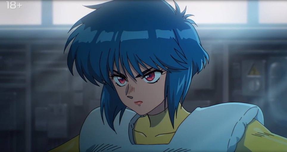 Shirow Masamune / KODANSHA / The Ghost in the Shell Committee
