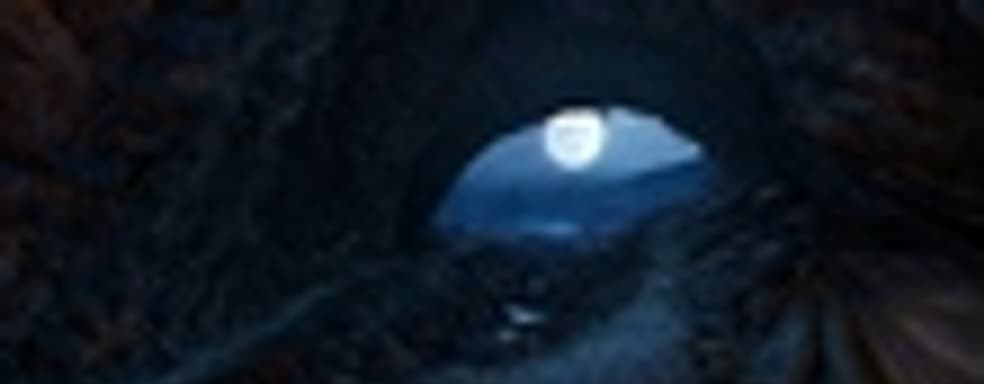 250 тыс. копий Dear Esther 