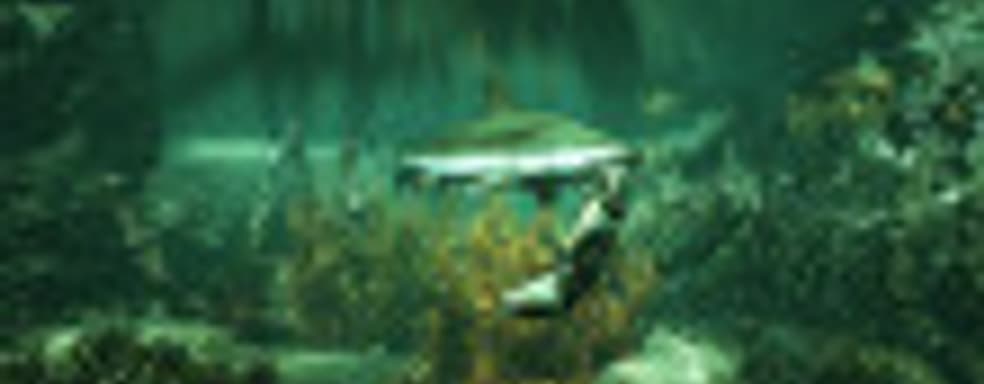 Приключения тупорылой акулы в прибрежных водах: игровой процесс Maneater