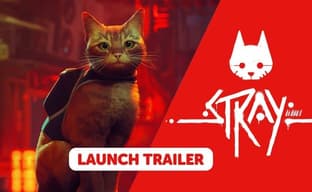 Stray доступна на Nintendo Switch в физическом и цифровом изданиях