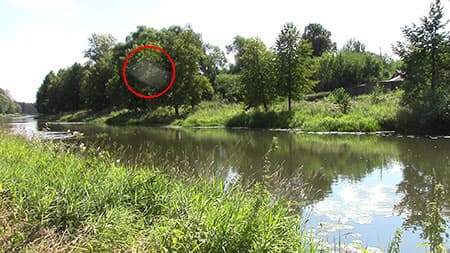 Видеокамера Canon Legria HF-R56