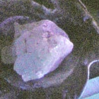 фрагмент, УФ лампа, нормальный режим