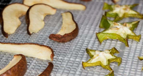 Дегидратор Rawmid DDV-06/07