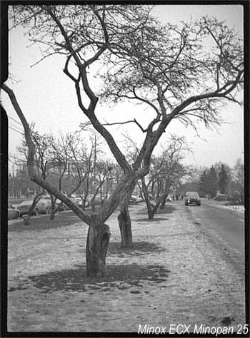 Minopan 25 Minox ECX, Epson 4870