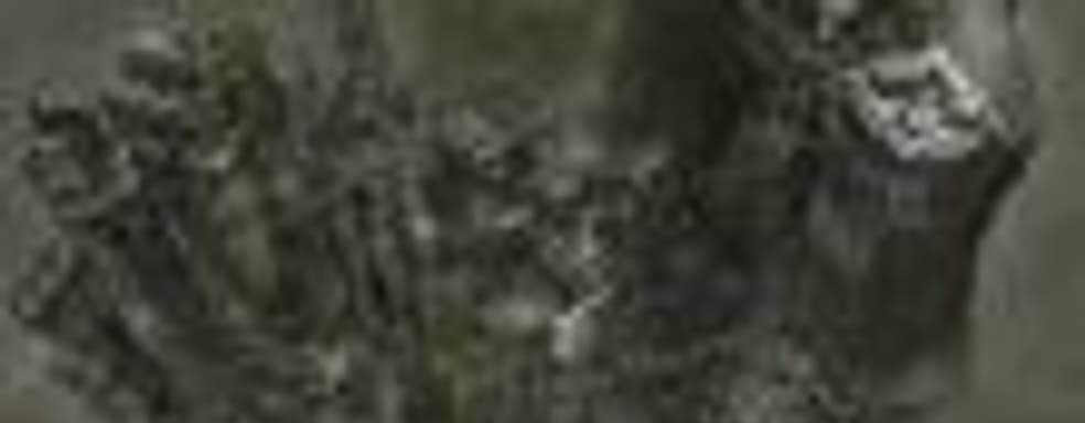 Фанаты нарисовали карту мира The Last Guardian