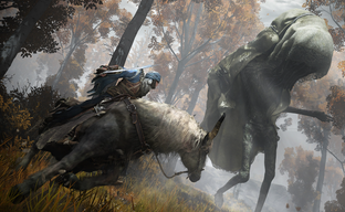 Фанаты Elden Ring обсуждают промежность лошади на некачественном скриншоте