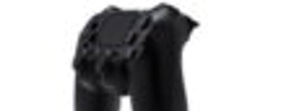 PS4 стартует в этом году, как минимум, в одном регионе