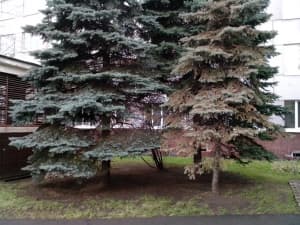 Обзор смартфона Lenovo P700i