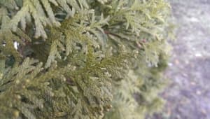 Обзор смартфона HTC One