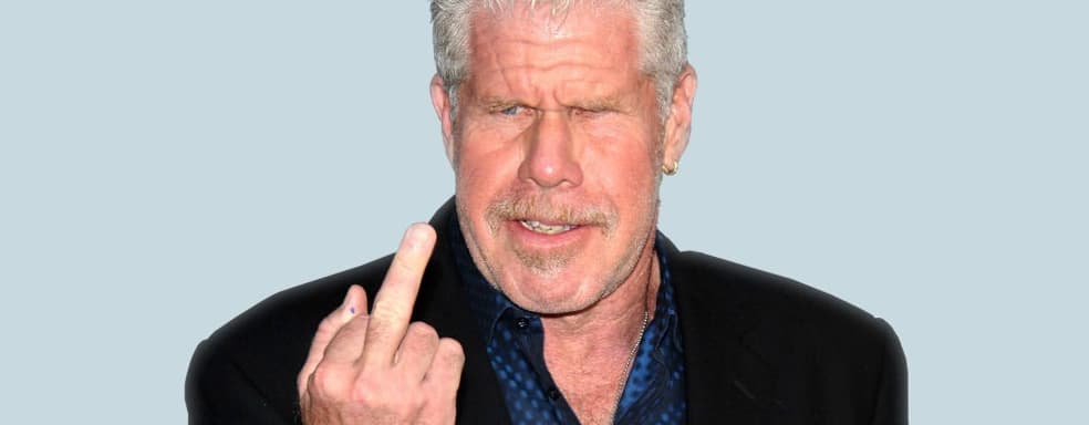 «У вас на него денег не хватит». Создатели крупного мода для Fallout хотели пригласить актера Рона Перлмана, но его агент им отказал