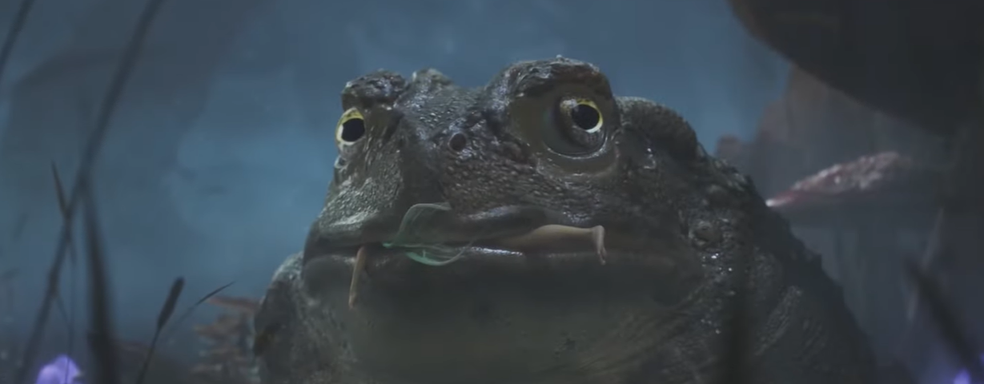 Продюсер Fable фактически признала производственный ад и считает такую разработку «нормой»