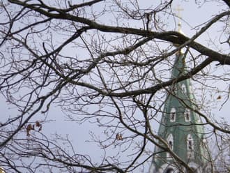 Видеосъемка фотоаппаратом Panasonic DMC-TZ70