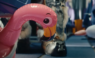 На Hearthstone начали экономить? Blizzard оставила дополнение «Раздор в тропиках» без анимированного ролика и подверглась критике