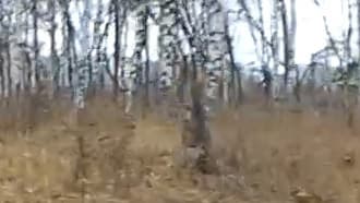 Экшн-камера Kodak PixPro SP1